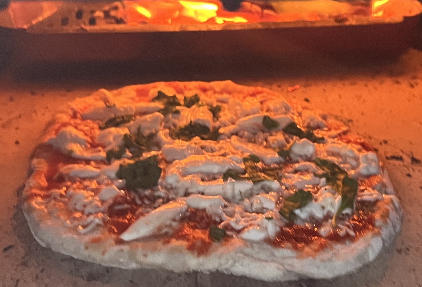 pizza margherita